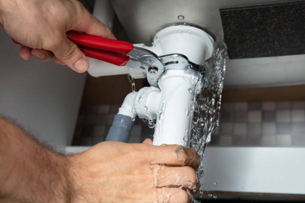 Best Flood restoration services  in Chehalis, WA