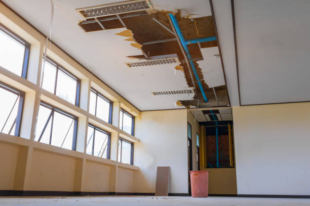 Best Basement water damage restoration  in Chehalis, WA