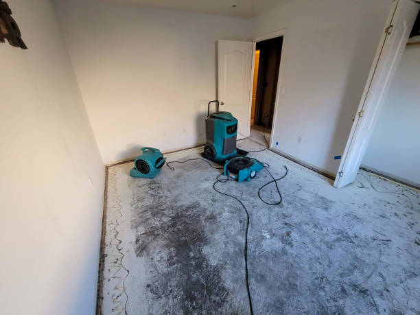 Best Residential water damage restoration  in Chehalis, WA