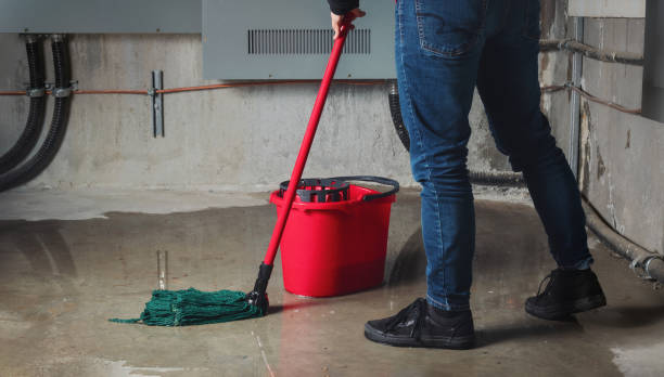 Best Mold removal after water damage  in Chehalis, WA