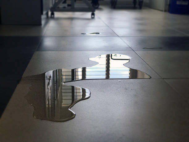 Best 24-hour water damage restoration  in Chehalis, WA