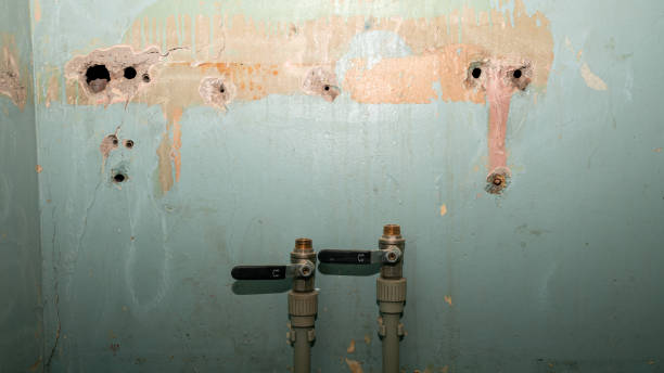 Best Commercial water damage restoration  in Chehalis, WA