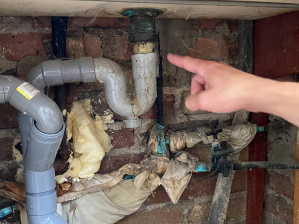 Best Water damage restoration experts  in Chehalis, WA