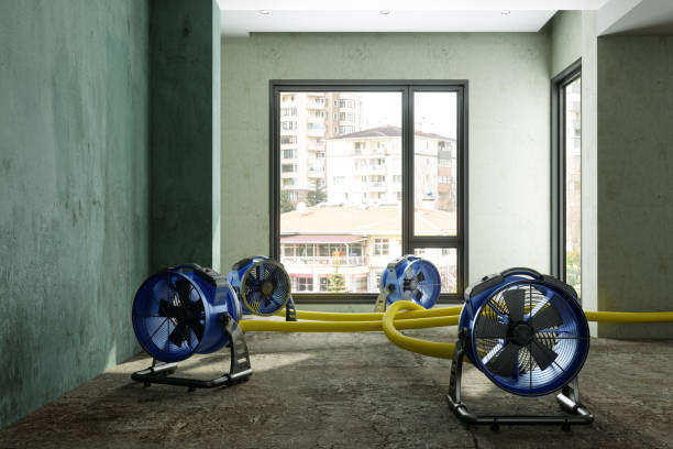 Best Carpet water damage restoration  in Chehalis, WA